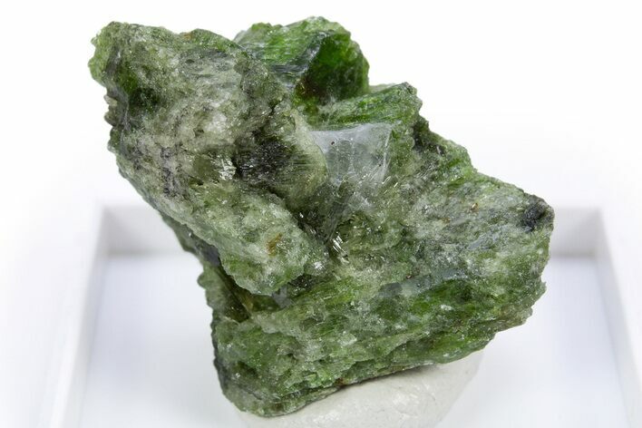 Lustrous Green Chrome Diopside Crystal - Minas Gerais, Brazil #305452